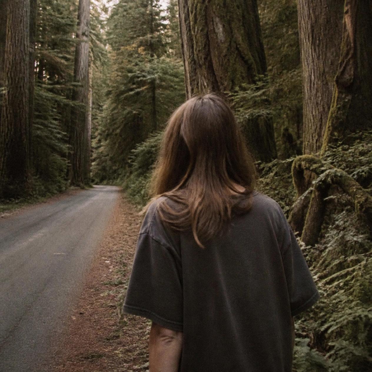 Back-facing woman walking a forest road — Rainier Country